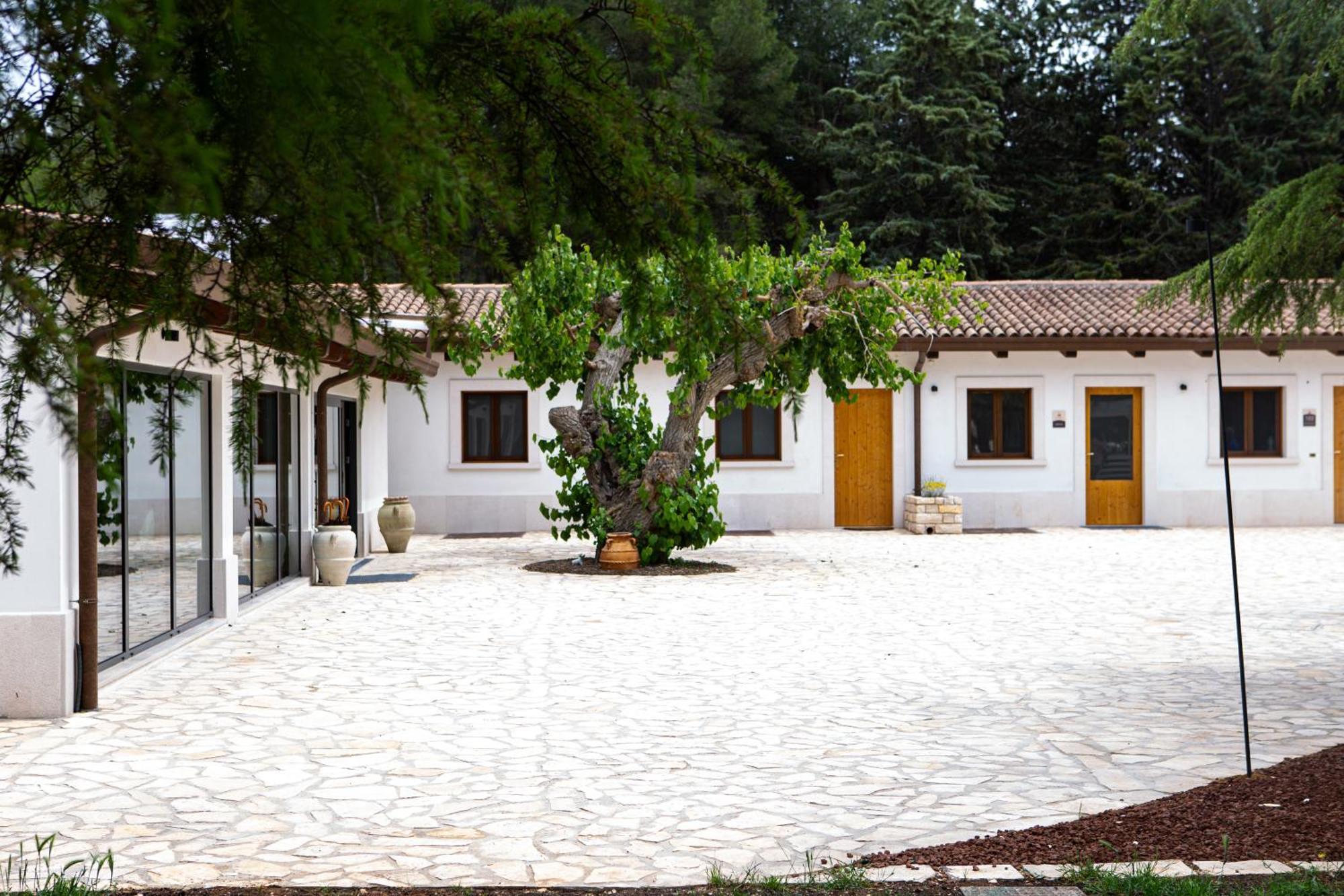 Wine Resort Le Vigne Al Castello Castel Del Monte  Εξωτερικό φωτογραφία