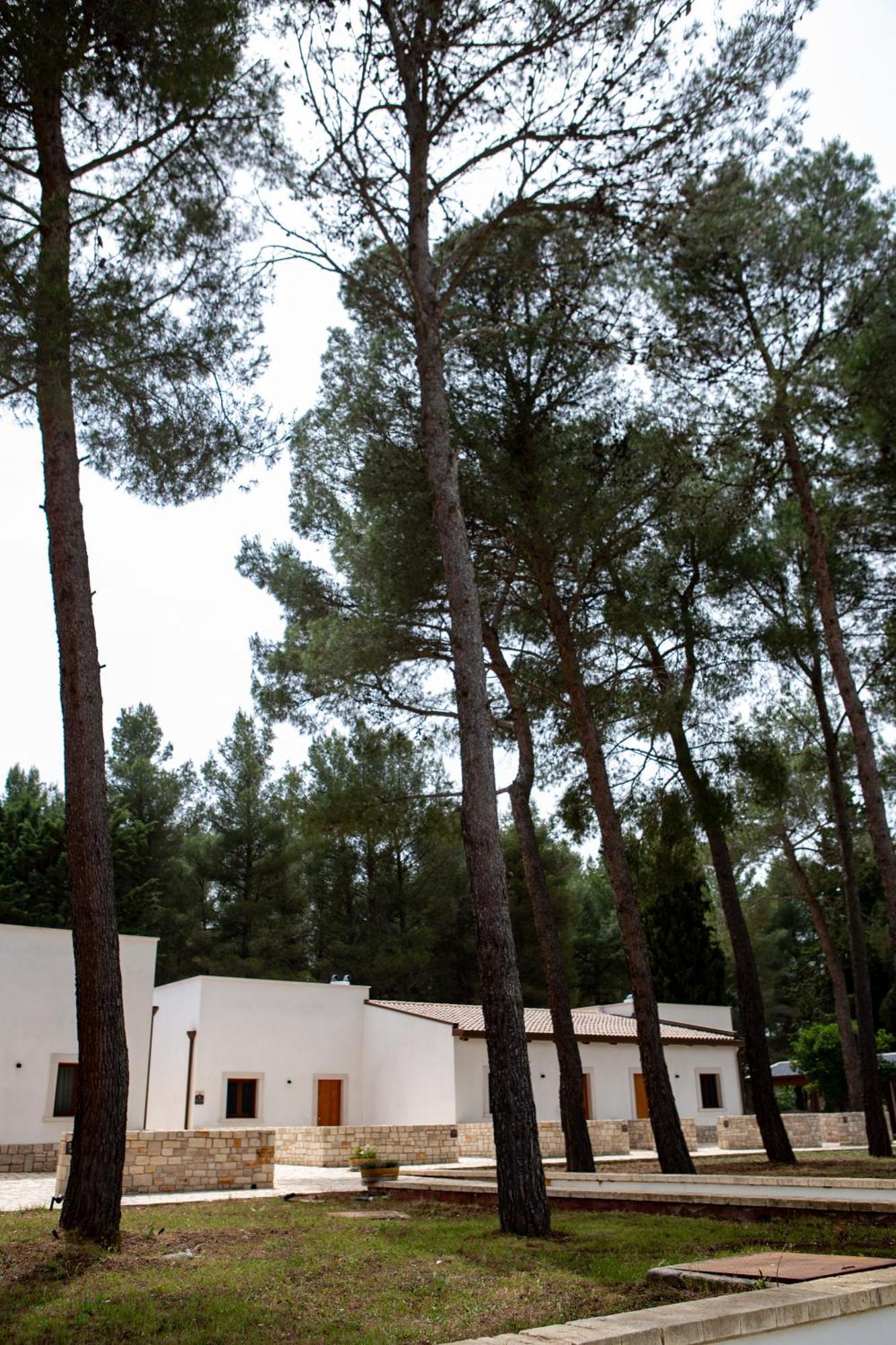 Wine Resort Le Vigne Al Castello Castel Del Monte  Εξωτερικό φωτογραφία